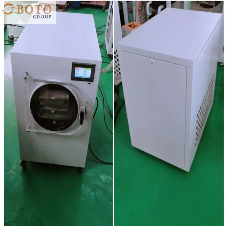 Commercial Spay Dryer Small Freeze Drying Vacuum Lyophilized Vegetable Fruit Drying Oven Home Freeze Dryer